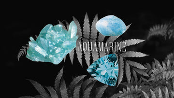 Three aquamarine gemstones. One raw, one smooth and one is faceted. The background is black and white image of a fern. Aquamarine is March's birthstone 