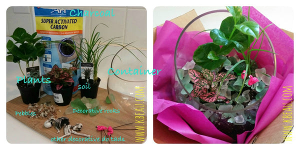 Terrarium Time