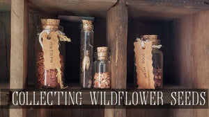 tiny corked bottles filled with wildflower seeds