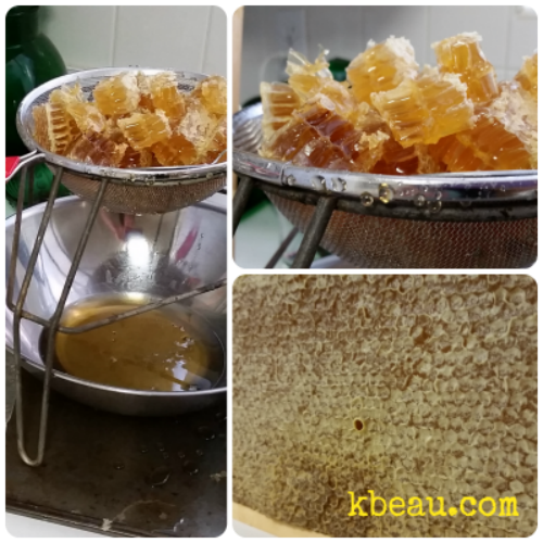 Honey Harvest