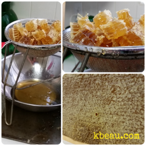 Honey Harvest
