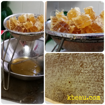 Honey Harvest
