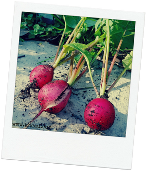 Winter Gardening