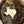 Texas bee keychain